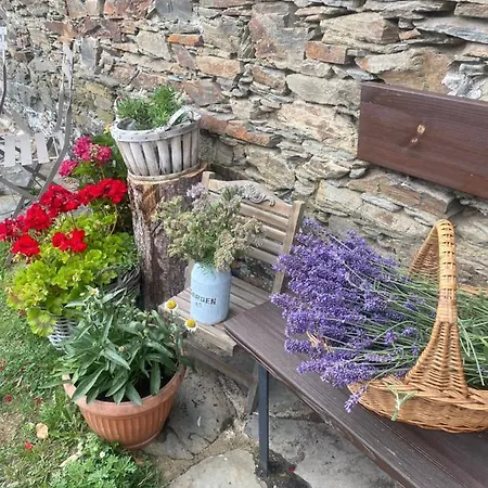 Hvězdný Glamping Luxusní stan