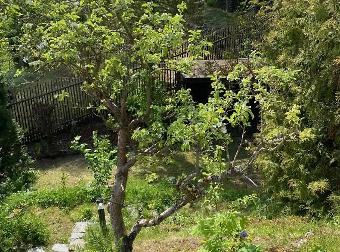 Hvezdny Glamping *