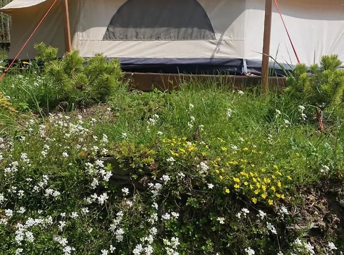 Hvezdny Glamping *